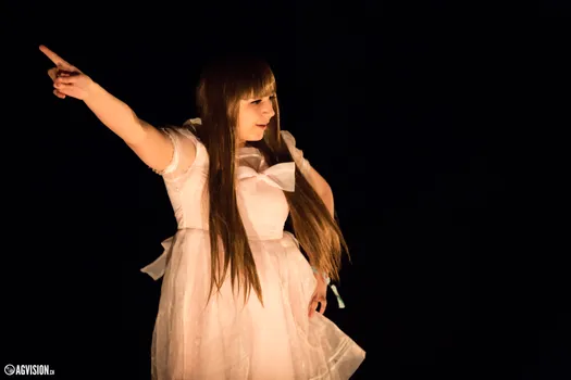 Copyright : AGVision