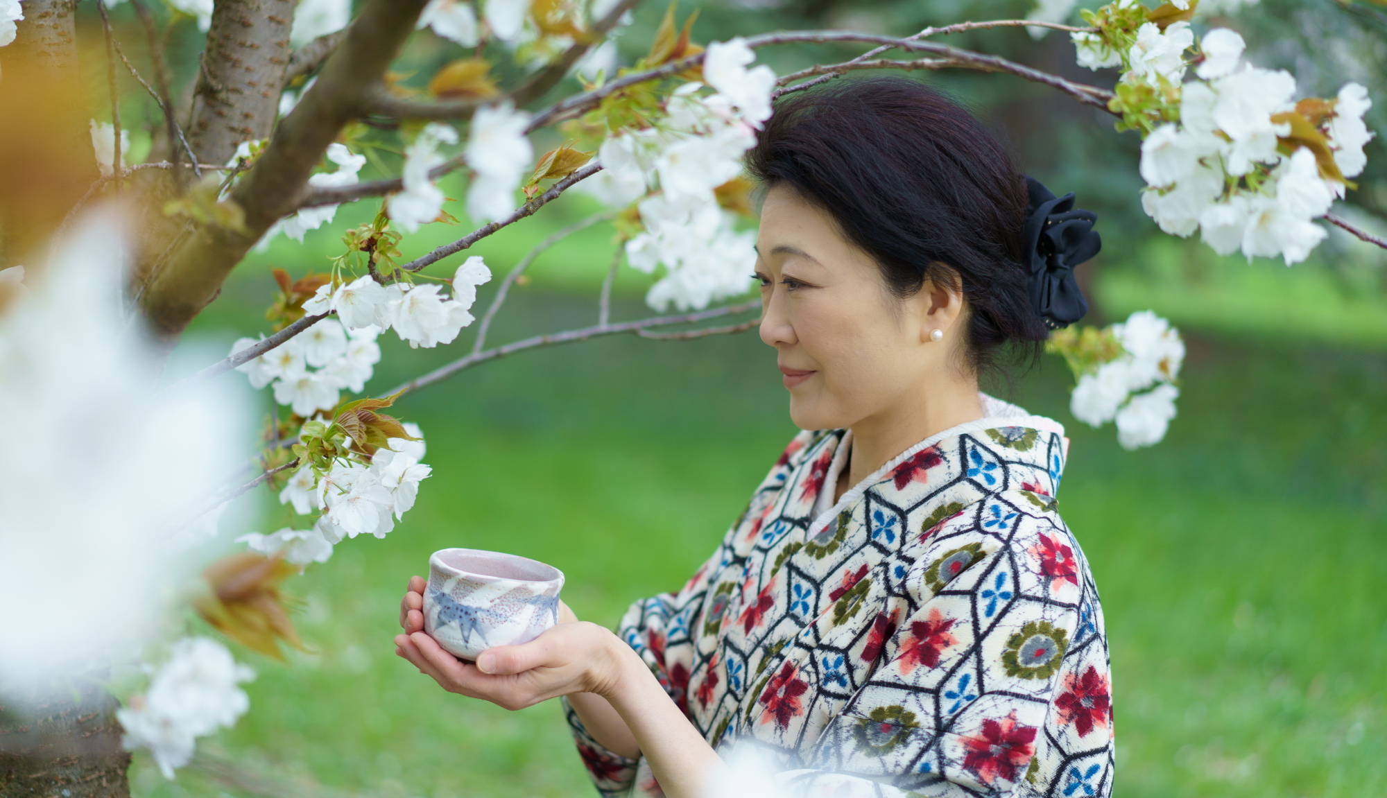 Aux Mille Pins - Thés du Japon